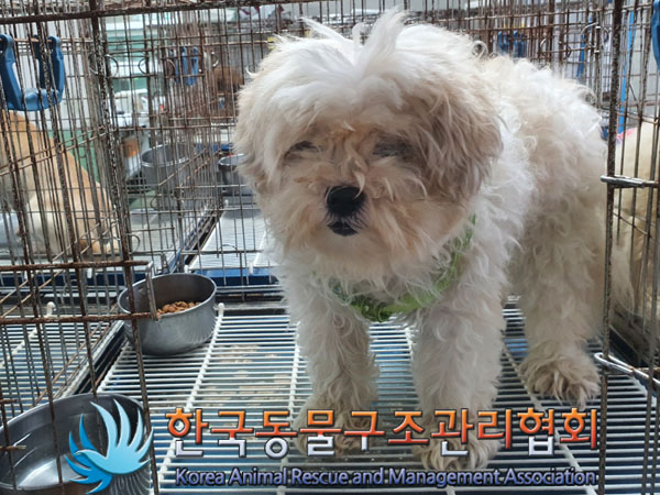 한국동물구조관리협회_411311202300646